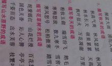 描写冬天美句好句_1200字