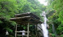 森林“大战”_600字