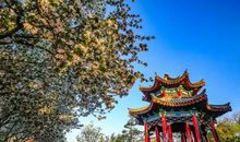 冬天好段好句：刺骨的寒风_800字