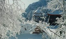 冬天好段好句：三九严寒，大地冰封_750字