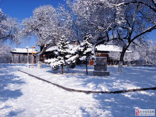 冬季漂亮段落：在家乡的雪_900字