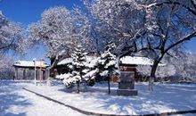 冬天好段好句：家乡的雪_900字