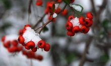 冬天好段好句：冬天的美景_1000字