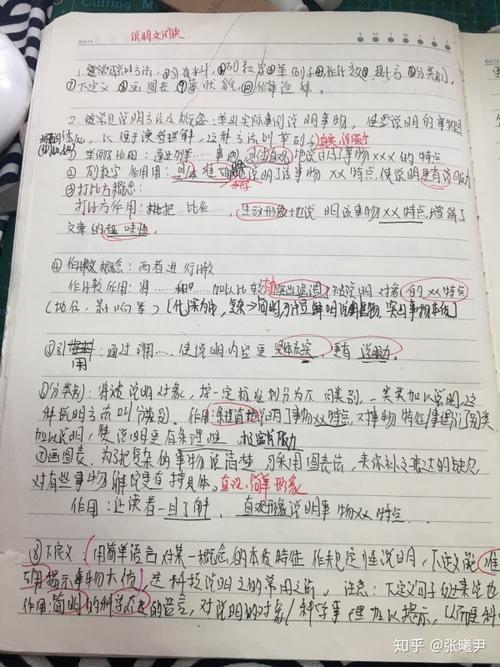 四年级写作组成：智能和俏皮堂兄_500字