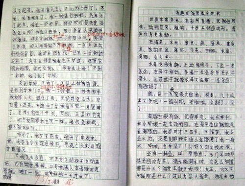 [微写的]谈论我的办公桌_100字