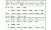 四年级写人作文：爱干净的爷爷_250字