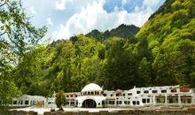 【微作文】王“熊猫”_200字