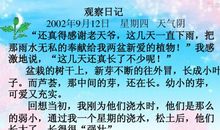 【微作文】我的同桌_450字