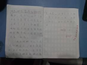 冬季假期日记_300字