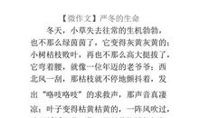 【微作文】同桌的她_250字