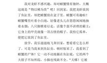 小金鱼，对不起_350字