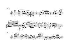 用皮鞋演奏的帕格尼尼_350字