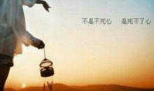 夜的思绪_1000字