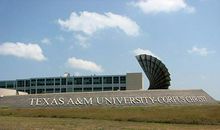 我与学校同命运共发展_300字