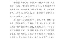 初一读书笔记：《三毛流浪记》读书笔记_550字