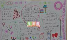 初一读书笔记：《三毛流浪记》_550字