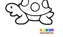 初一读书笔记：可爱的小乌龟_500字