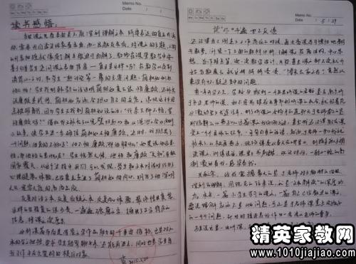 第一读注意：“卖火柴的小女孩”阅读说明_800字