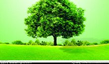 低碳环保宣传语