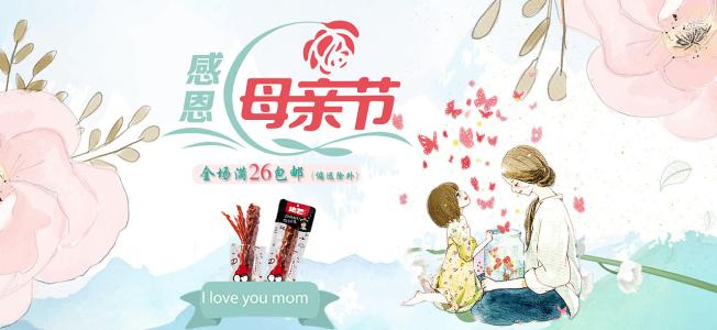 母亲的投资_800字