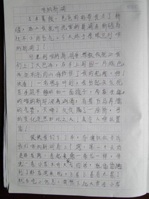 关于你追求的组成_800字