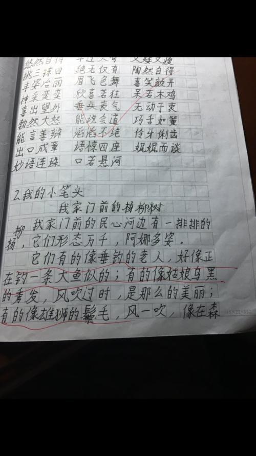关于毕业感觉论文：生活，教会，珍惜_900字