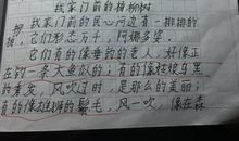 关于毕业感想作文：生活，教会我珍惜_900字