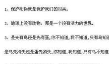 保护动物宣传语