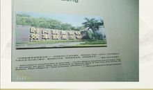 寒假见闻：寒假见闻_1000字