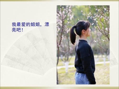 寒假：冬季假期_500字