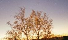 流星划过的瞬间_700字