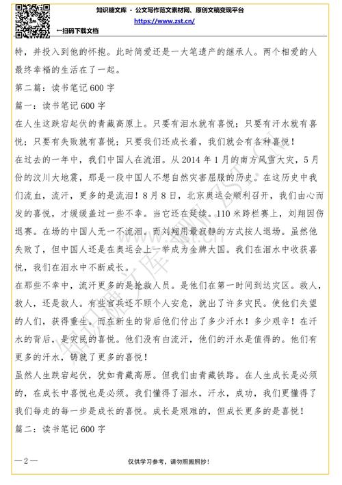 “沉SI LU”阅读说明_600字