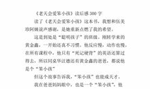 《老天爱笨小孩》读书笔记_750字