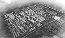 【学生征文选登53】：笨鸟先飞，我为小升初扎进学海_550字