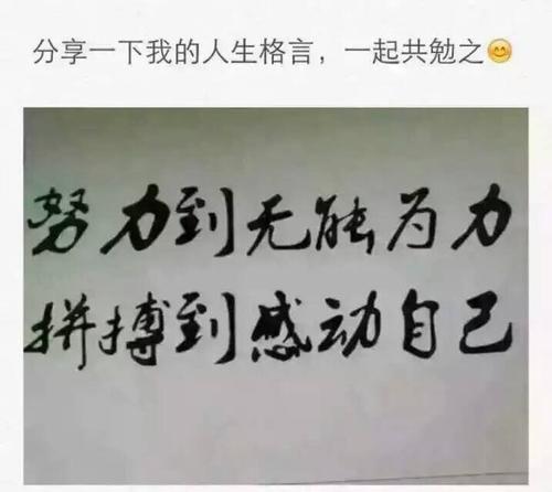 [学生论文选择50]：萧盛首先告诉我：学习无穷无尽，学习海是anemick _700字