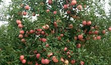 【学生征文选登54】：北达老师的出题水平不简单_650字