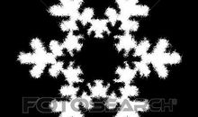 [超新星初中组]黑色的雪花_1000字