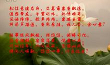 [超新星初中组]情思寄语_1000字