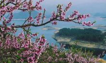 [超新星初中组]在樱桃花盛开的地方_500字