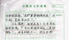 《小木偶的故事》续写_500字