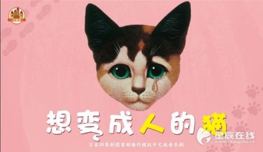 小猫_400字