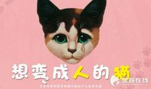 小猫_400字