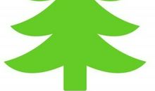 【环保作文】小树的述说_350字