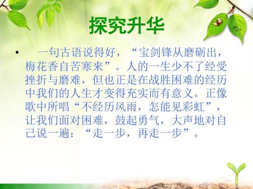 20句子面临挫折经典报价_1500字