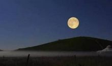 十五的月亮_300字