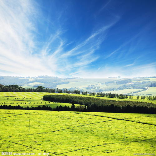 田园诗般的风景：田园风景_650字