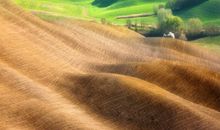 关于田园风光的作文：田园诗意_700字