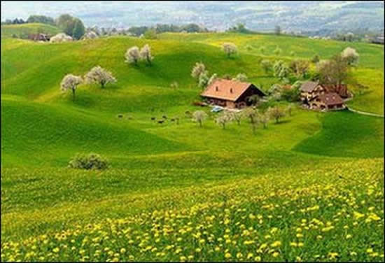 田园诗般的风景的构图：田园风景_300字
