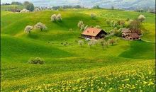 关于田园风光的作文：田园风光_300字