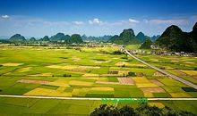 关于田园风光的作文：秋天的田园风光_500字